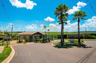 Terreno residencial à venda, residencial parque dos alecrins, campinas - te1079.