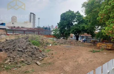 Terreno comercial à venda, vila itapura, campinas - te2132.