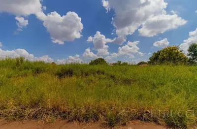 Terreno à venda, 358 m² por r$ 343.000,00 - jardim dos calegaris - paulínia/sp