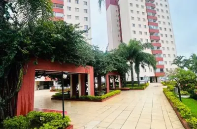 Apartamento residencial à venda, vila marieta, campinas - ap10981.