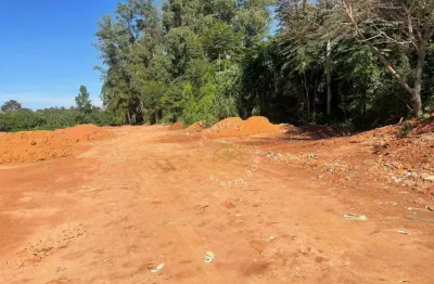 Área à venda, 23000 m² por r$ 7.300.000,00 - jardim andorinhas - campinas/sp