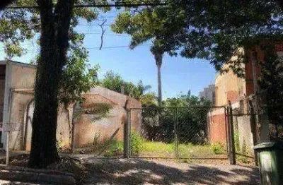 Terreno, 295 m² - venda por r$ 2.300.000,00 ou aluguel por r$ 8.077,00/mês - cambuí - campinas/sp