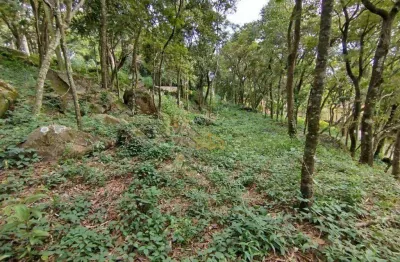 Terreno à venda, 1925 m²  - condomínio nova suiça - valinhos/sp