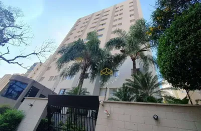 Apartamento à venda no cambuí campinas sp. oprotunidade!