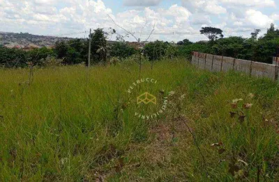 Terreno à venda, 175 m² por r$ 150.000,00 - jardim ouro preto - campinas/sp