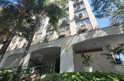 Sala comercial com 3 salas à venda na Rua Padre Almeida, 565, Cambuí, Campinas