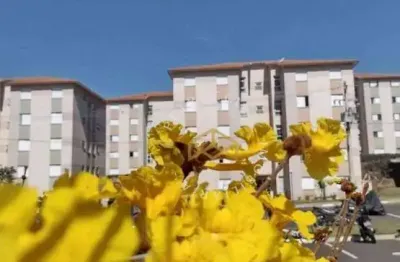 Apartamento com 2 dormitórios à venda, 43 m² por r$ 244.000,00 - loteamento nova espírito santo - valinhos/sp