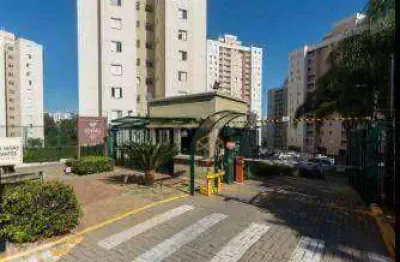 Lindo apartamento para venda e locação no residencial reviva