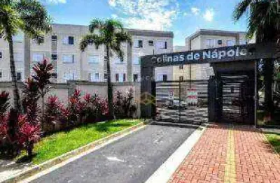 Apartamento com 2 quartos à venda, 46 m² no jardim esmeraldina - campinas/sp