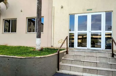 Apartamento com 3 quartos  à venda, 74 m² no jardim das bandeiras - campinas/sp