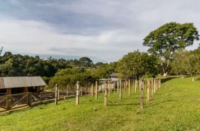 Chácara / sítio com 2 quartos à venda na hermes candido de sa, 115, colônia marcelino, são josé dos pinhais por r$ 995.000