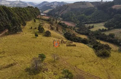 Terreno à venda, 20000 m² por r$ 400.000,00 - são mateus - camanducaia/mg