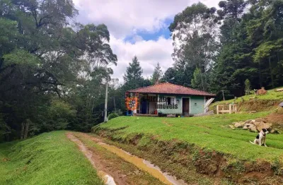 Sítio à venda, 60500 m² por r$ 905.000 - bom jardim - camanducaia/mg