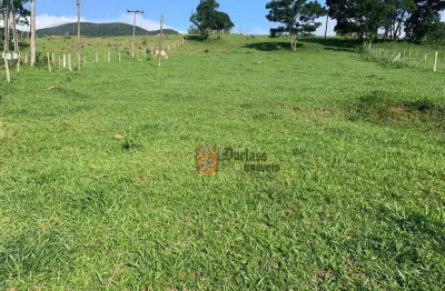 Terreno à venda, 3030 m² por r$ 290.000,00 - guaraiuva - vargem/sp