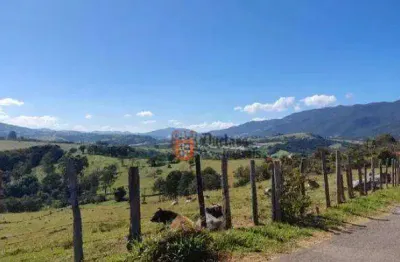 Terreno à venda, 1000 m² por r$ 279.000,00 - centro - vargem/sp