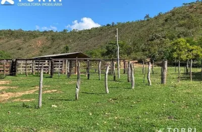 Fazenda com 2 salas à venda na Avenida das Torres, 100, Olhos D'Água, Belo Horizonte