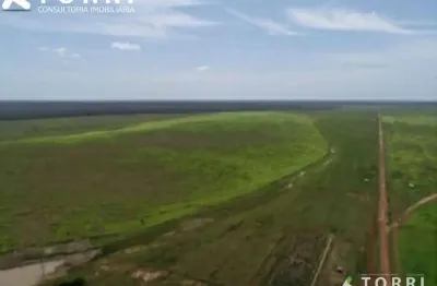 Fazenda com 2 salas à venda na Avenida Adélino Américo De Azevedo, 100, Centro, Porangatu