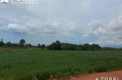 Fazenda rural à venda, parque vale araguaia, araguaína - fa0110.