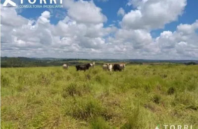 Fazenda rural à venda, centro, são gonçalo do abaeté - fa0036.