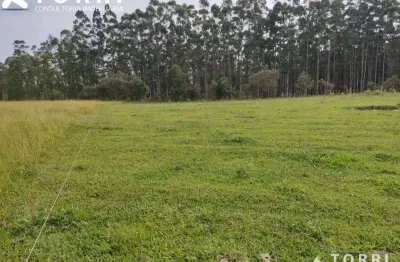Área rural à venda, centro, são miguel arcanjo - ar0031.