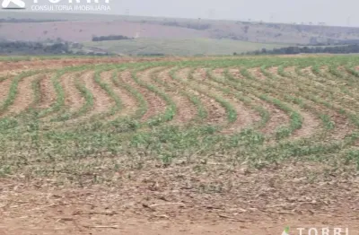 Chácara / sítio com 5 quartos à venda na ÁRea Rural, 100, Centro, Santa Maria da Serra