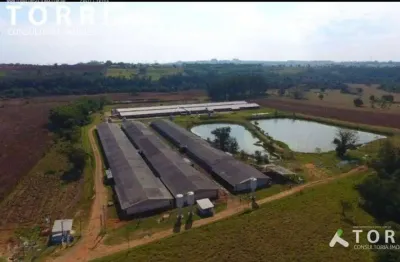 Sítio rural à venda, aleluia, cesário lange - si0160.