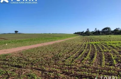 Fazenda com 1 sala à venda na Rua Barbosa Franco, 88, Centro, Itapetininga