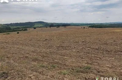 Fazenda com 2 salas à venda na Praça da Bandeira, 100, Área Rural de Itapetininga, Itapetininga