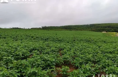 Sítio comercial à venda, centro, pilar do sul - si0238.