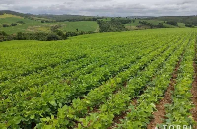 Chácara / sítio à venda na Av. Miguel Petrere, 44, Centro, Pilar do Sul