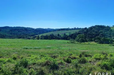 Fazenda à venda na Sp-139, 78, Centro, São Miguel Arcanjo