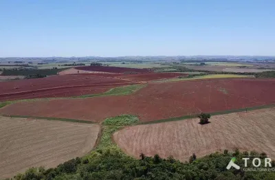 Fazenda à venda na Rua João Antônio De Oliveira, 555, Centro, Itaí