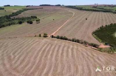 Fazenda à venda na Rodovia Raposo Tavares, 33, Centro, Avaré