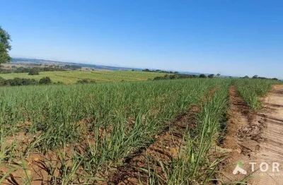 Fazenda à venda na Estrada João Moreira, 444, Centro, Capela do Alto