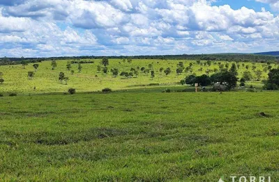 Fazenda à venda na Rodovia Castelo Branco, 10, Zona Rural, Bofete