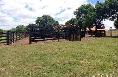 Fazenda à venda na Avenida Das Hortências, 10, Centro, Paranapanema