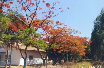 Fazenda à venda na Mg-188, 10, Centro, Unaí
