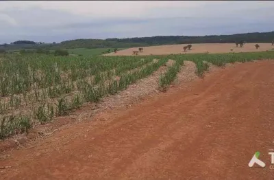 Excelente fazenda em cana à venda na região de tatuí/sp