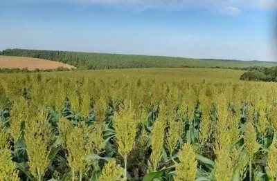 Fazenda à venda, 390 m² por r$ 20.930.000,00 - centro - capão bonito/sp
