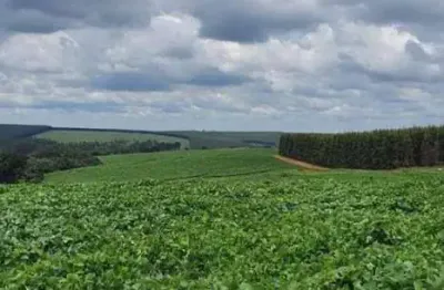 Fazenda à venda, 171 m² por r$ 14.200.000,00 - centro - bauru/sp