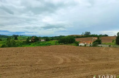 Fazenda à venda, 1167 m² por r$ 5.500.000,00 - centro - itapetininga/sp