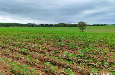 Fazenda à venda, 1282 m² por r$ 15.500.000,00 - centro - itapetininga/sp