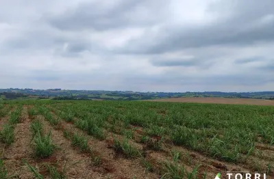 Fazenda à venda na Rua Nova Escócia, 52, Vila Barth, Itapetininga