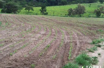 Fazenda à venda na Rua Nova Escócia, 24, Vila Barth, Itapetininga