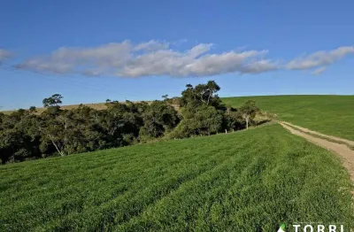 Fazenda 1161600 m² á venda na região de itapetininga sp