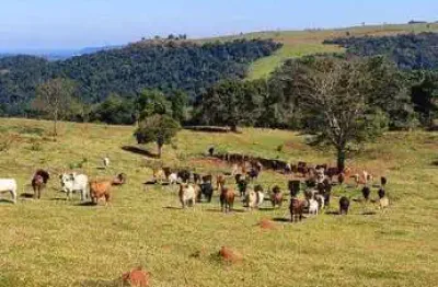 Fazenda 2879800 m² á venda na região de botucatu sp