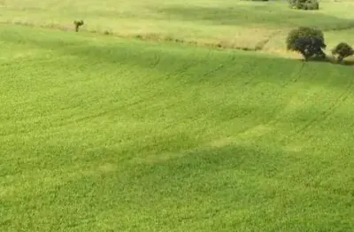 Terreno à venda na Área Rural, 443, Área Rural de Avaré, Avaré