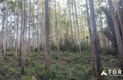 Área á venda no vale do ribeira região de registro sp