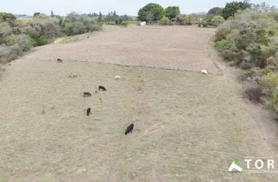 Terreno à venda na R. Matias Máximo Da Cruz, 4, Floresta, Guareí