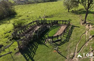 Sítio à venda, 485000 m² por r$ 3.200.000 - município de sarapuí  - sarapuí/sp